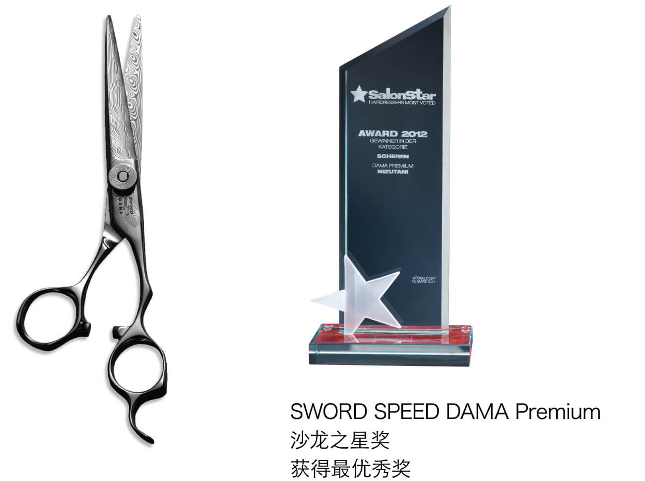 SWORD SPEED DAMA Premium 沙龙之星奖 获得最优秀奖