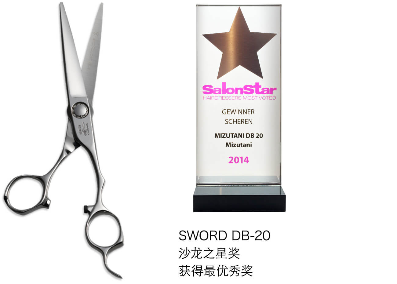 SWORD DB-20 沙龙之星奖 获得最优秀奖