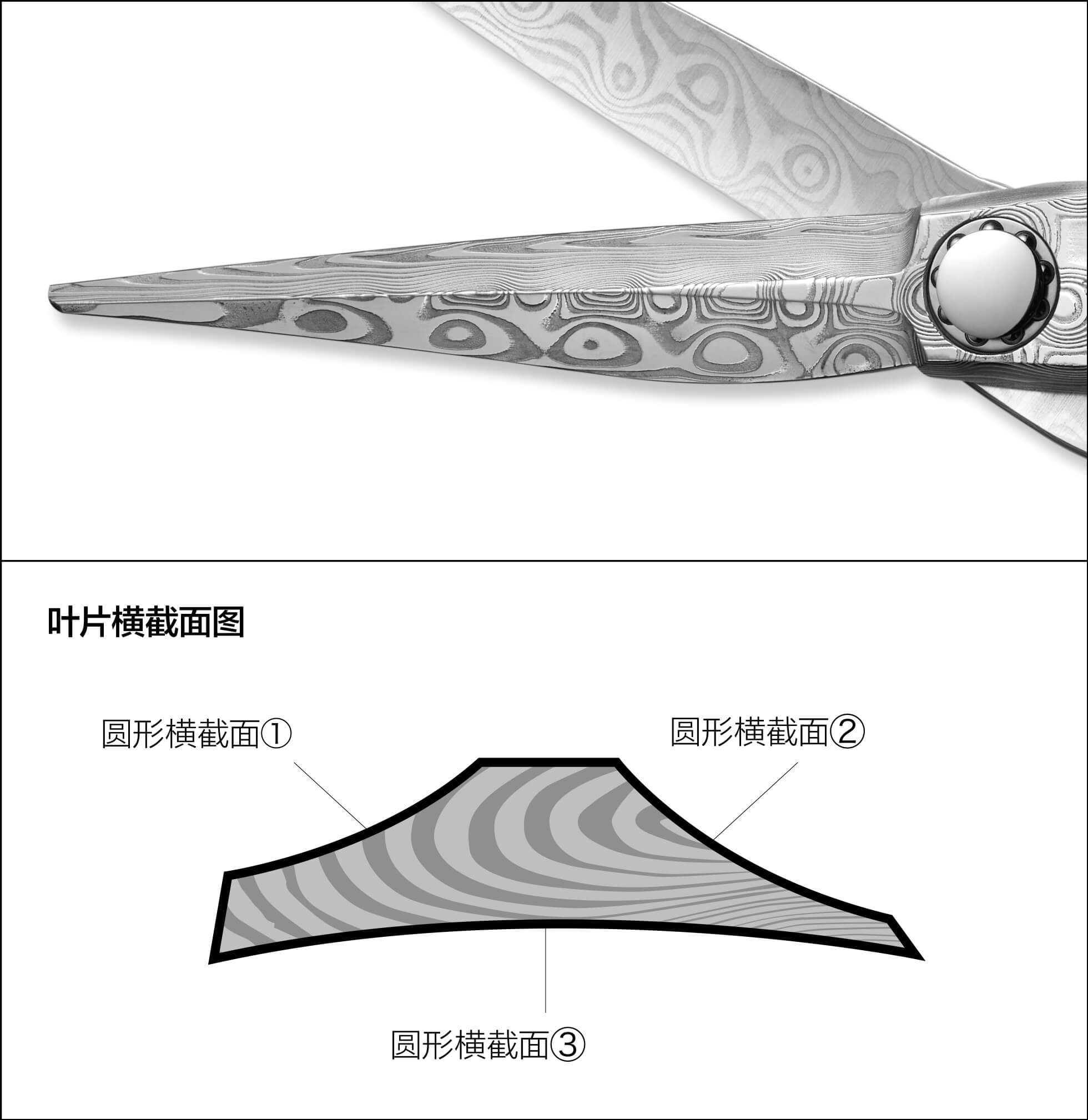 叶片横截面图