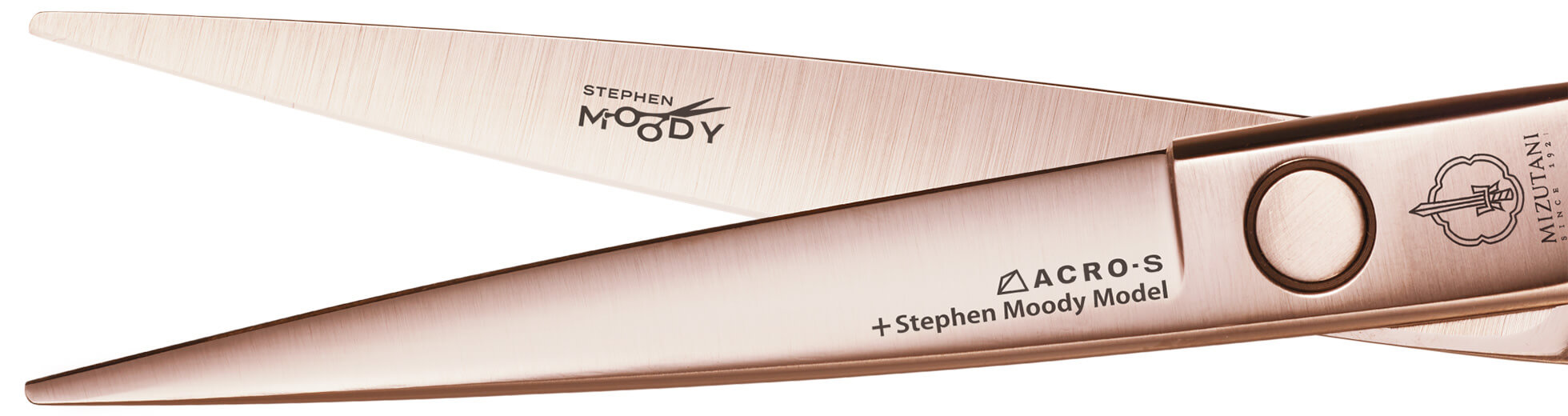 Stephen Moody Model