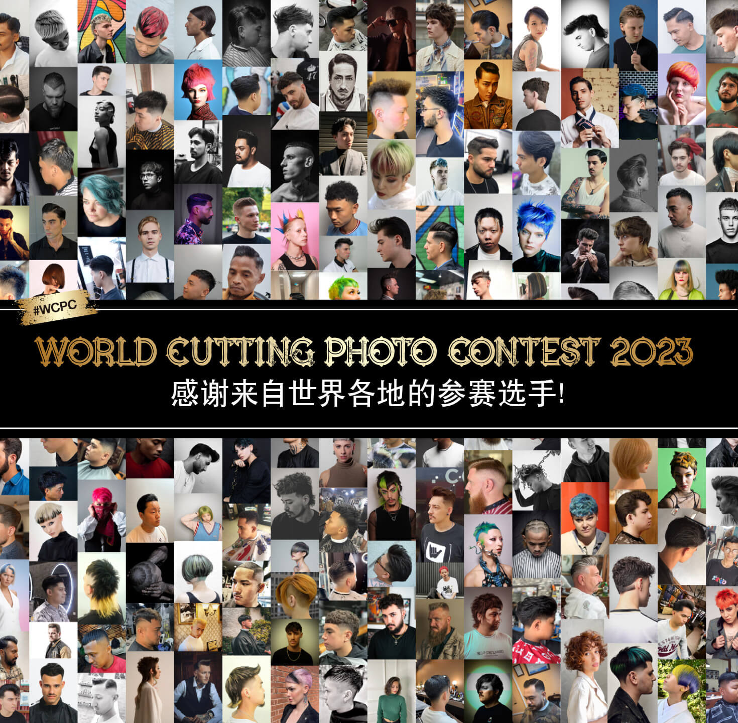 WORLD CUTTING PHOTO CONTEST 2023