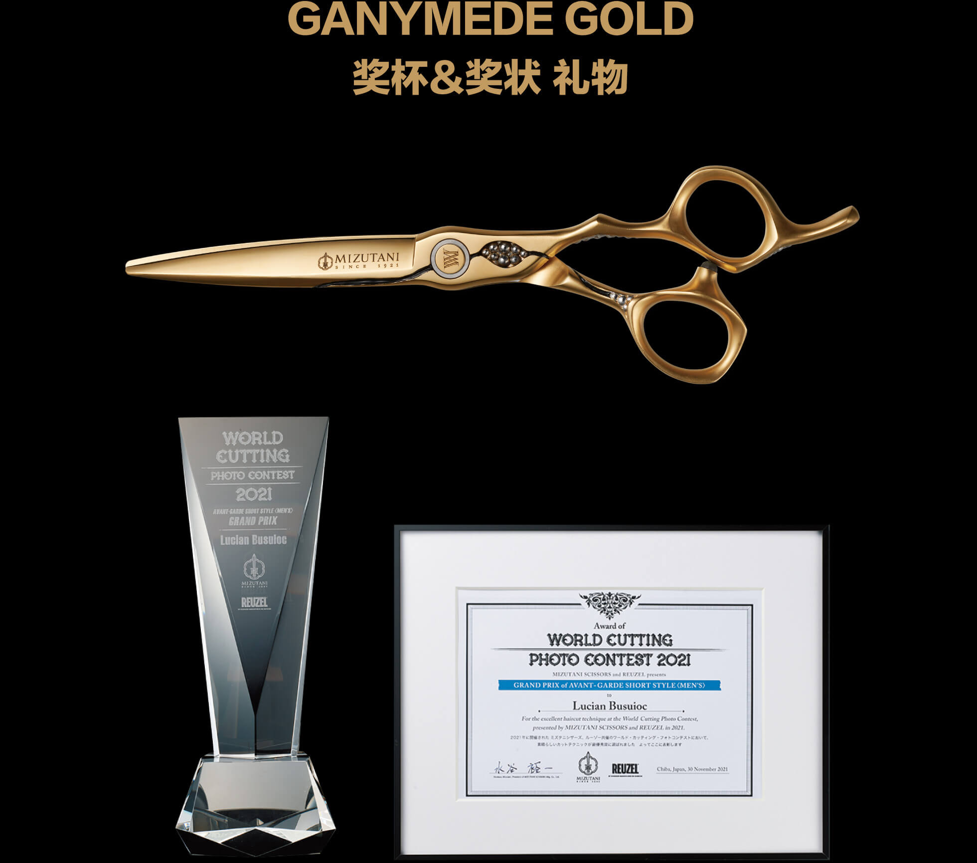 GANYMEDE GOLD 奖杯&奖状 礼物