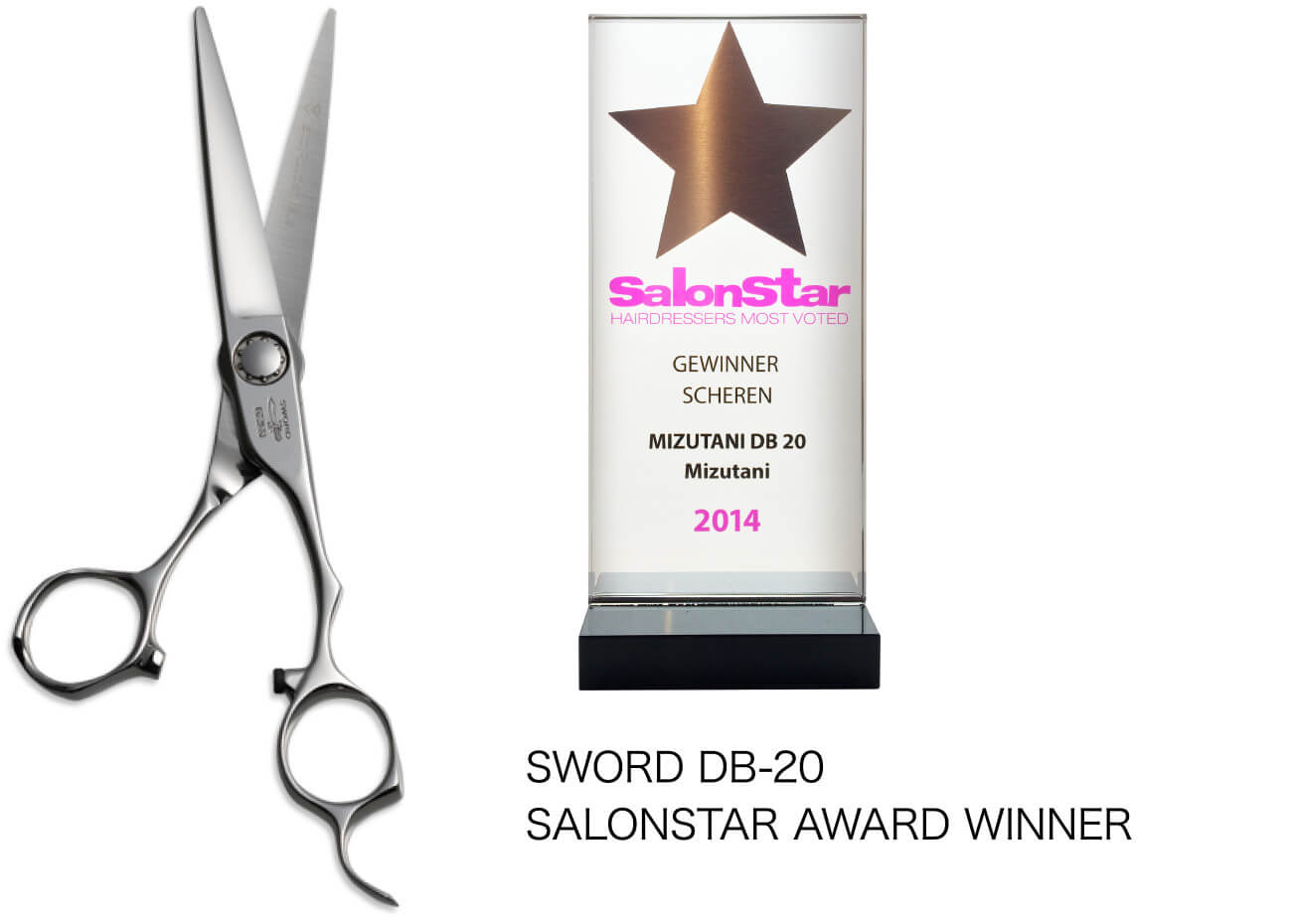 SWORD DB-20 SALONSTAR AWARD WINNER