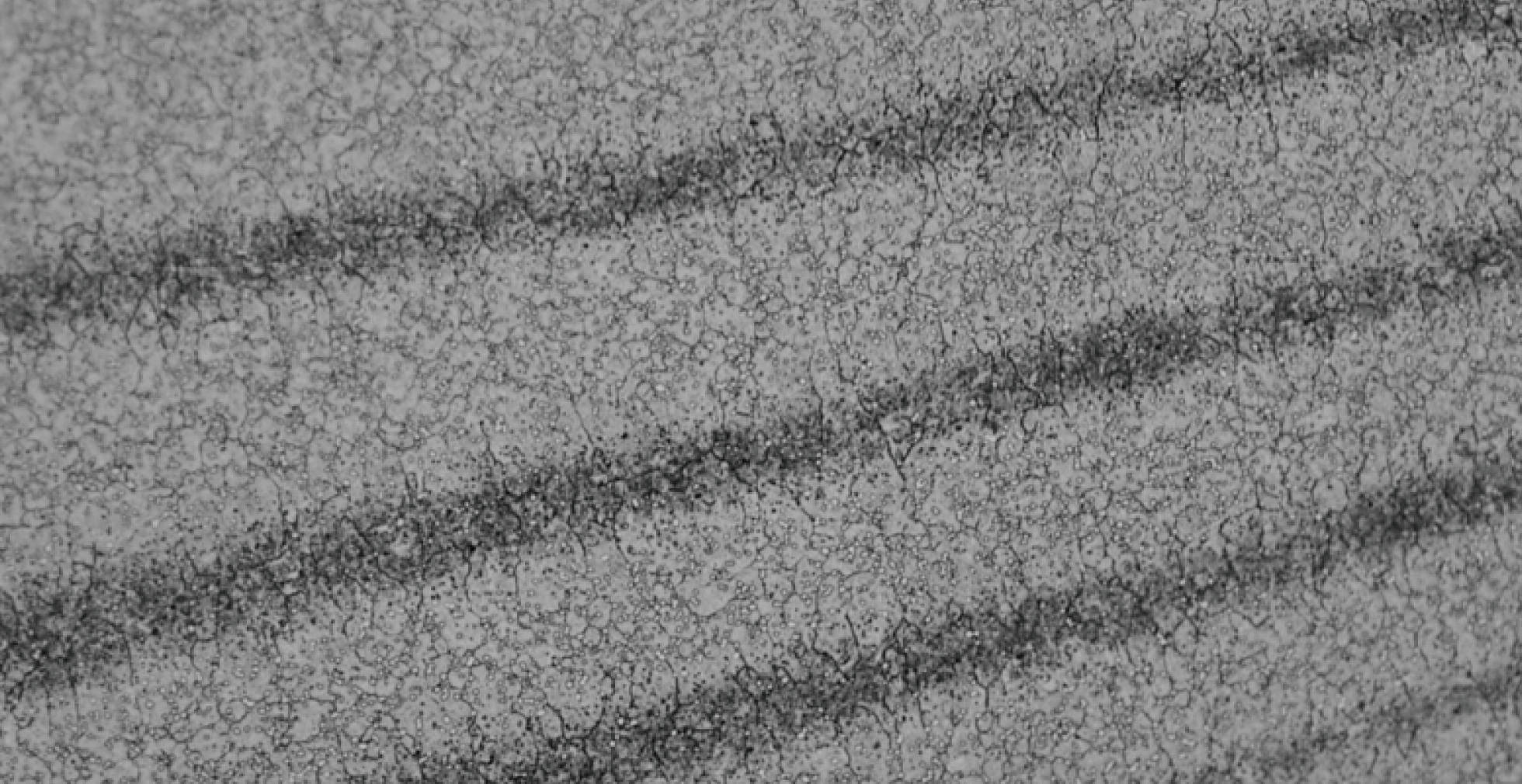 Cabides and layered microstructure of DAMA