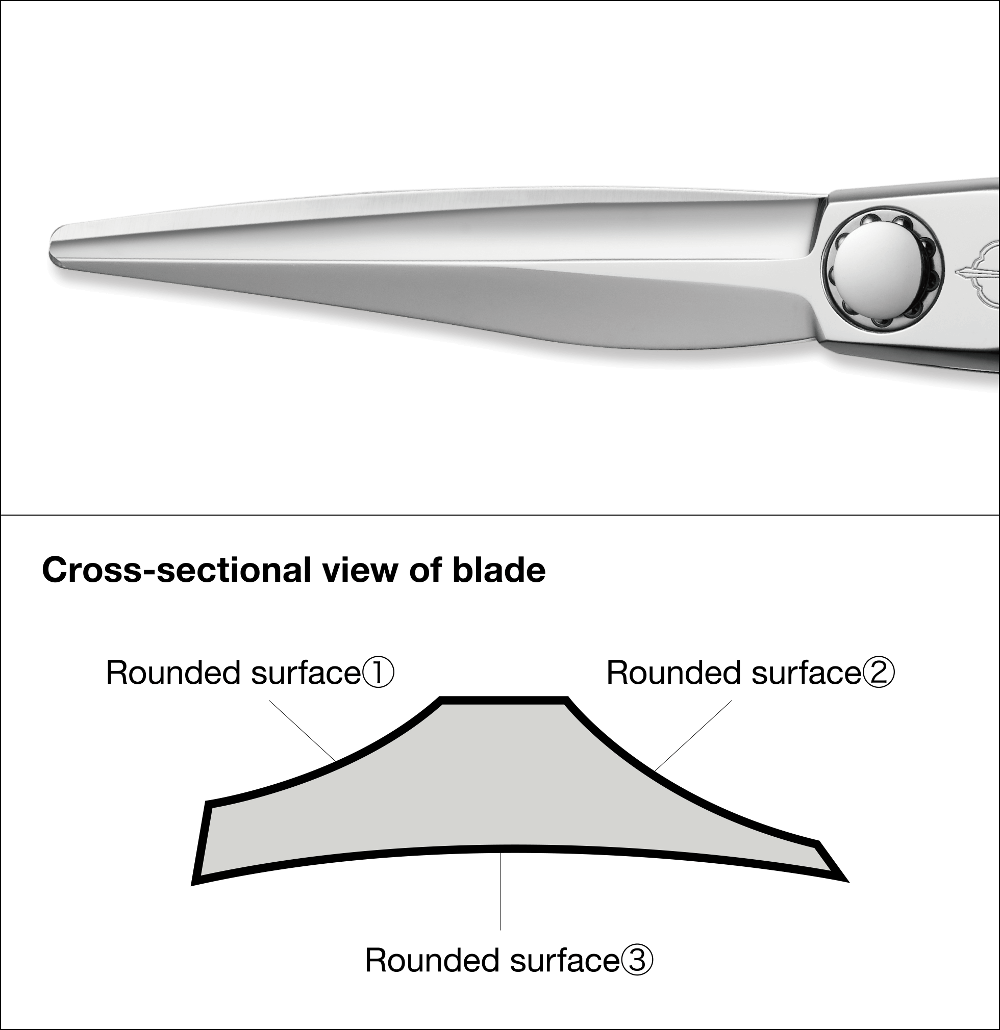 Cross-sectional view of blade