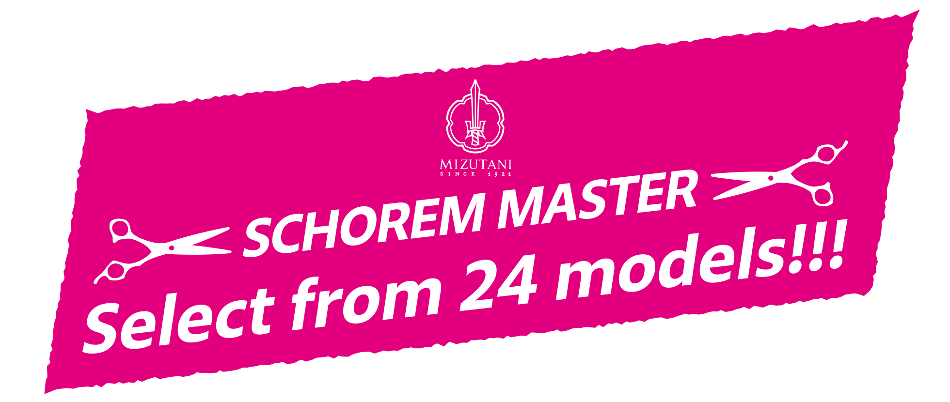 SCHOREM MASTER Select from 24 models!!!