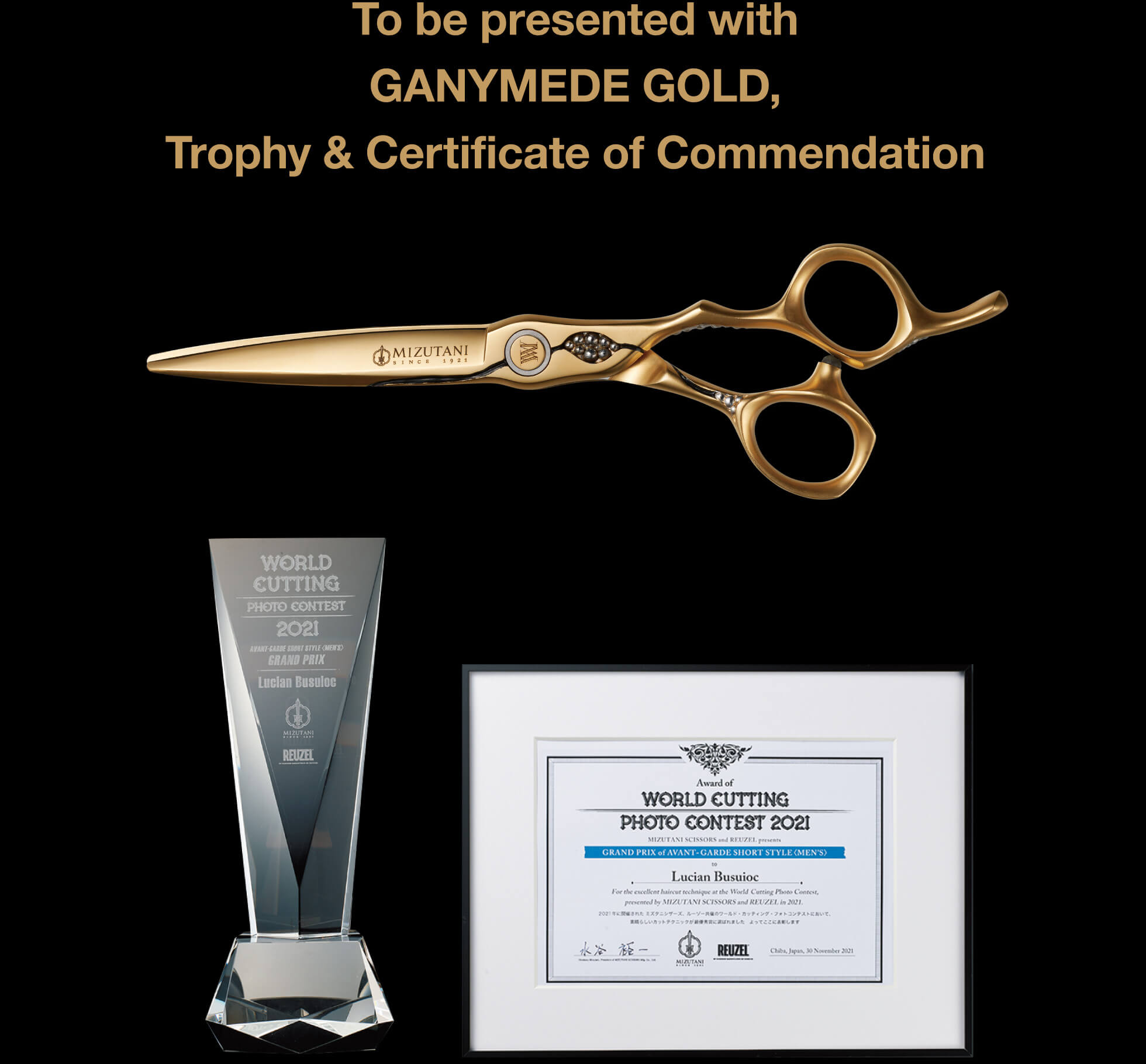 To be presented with GANYMEDE GOLD, Trophy & Certificate of Commendation