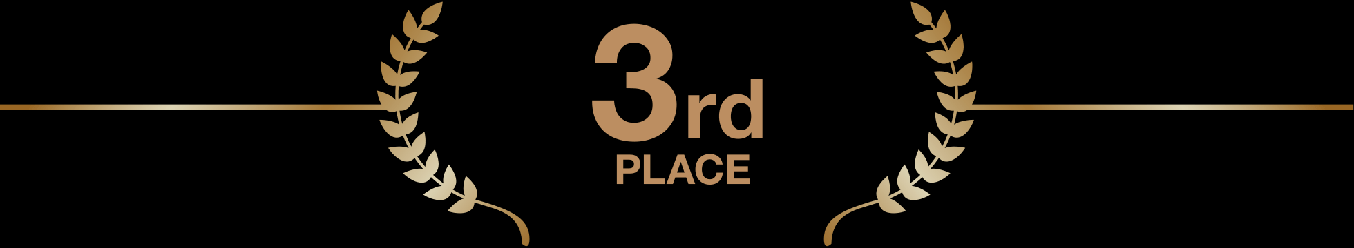 3nd PLACE