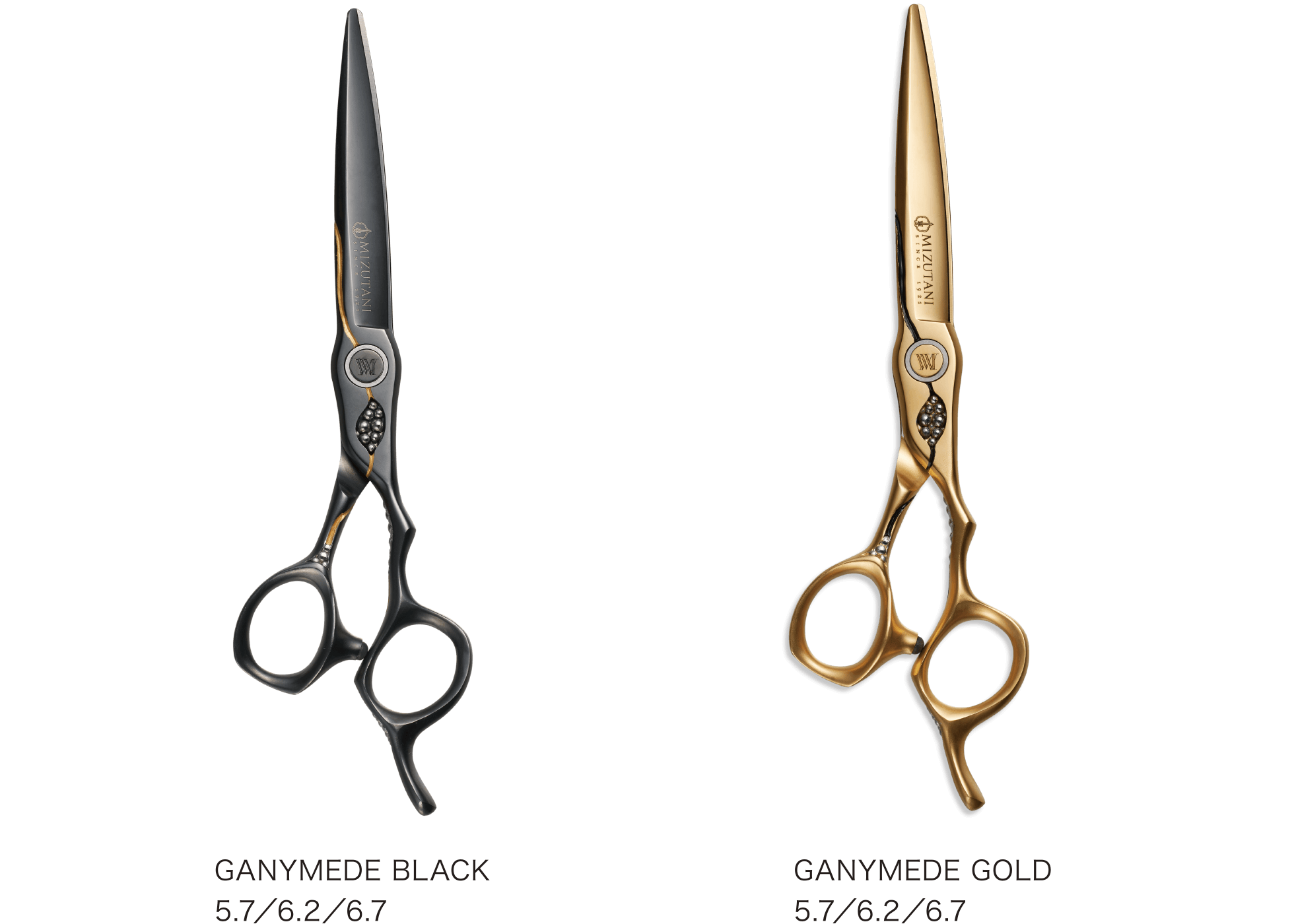 GANYMEDE BLACK / GANYMEDE GOLD