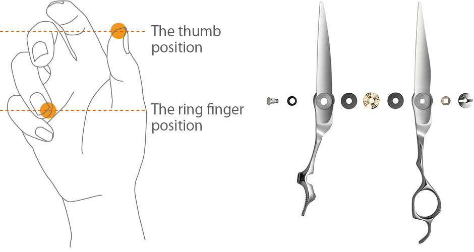 Mizutani Scissors - SWORD D-19